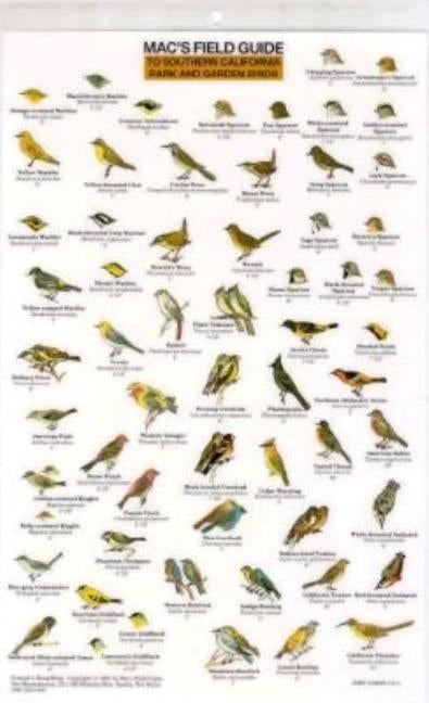 Mac's Field Guides: Southern California Park & Garden Birds by Macgowan, Craig