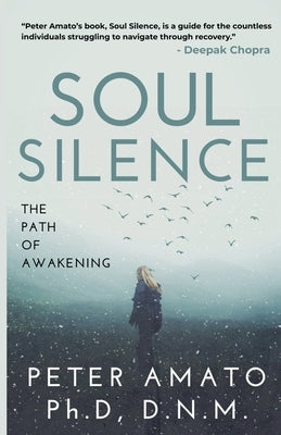 Soul Silence: The Path of Awakening by Dnm, Peter Amato