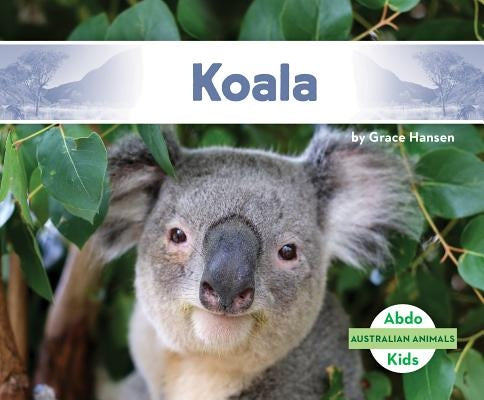 Koala by Hansen, Grace