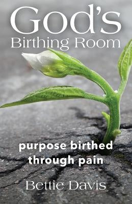 God's Birthing Room: Purpose Birthed Through Pain by Davis, Bettie