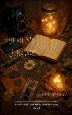 Memory's Junkyard The Light We Kept by Berry, Elizabeth