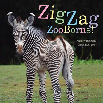 Zigzag Zooborns!: Zoo Baby Colors and Patterns by Bleiman, Andrew