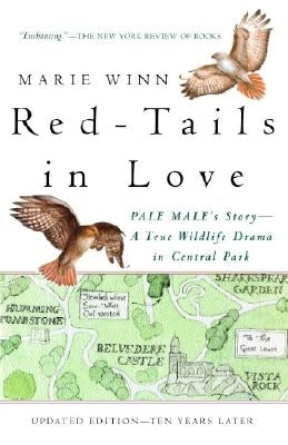 Red-Tails in Love: Pale Male's Story--A True Wildlife Drama in Central Park by Winn, Marie