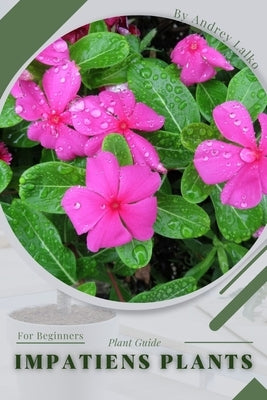 Impatiens Plants: Plant Guide by Lalko, Andrey
