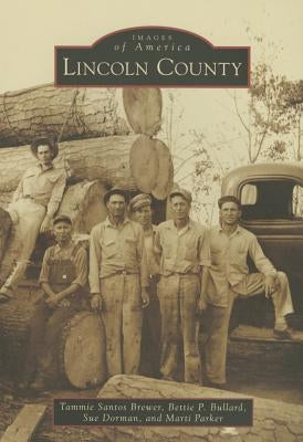 Lincoln County by Brewer, Tammie Santos