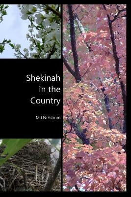 Shekinah in the Country by Nelstrum, M. J.