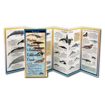 Marine Mammals of Southern California by Folkens, Pieter