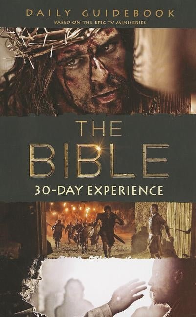 The Bible 30-Day Experience: Daily Guidebook by Hostetler, Bob