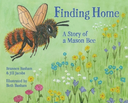 Finding Home: A Story of a Mason Bee by Basham, Brannen