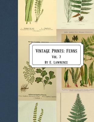 Vintage Prints: Ferns: Vol. 7 by Lawrence, E.