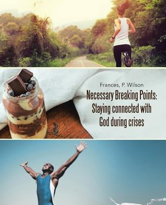 Necessary Breaking Points: Staying connected with God during crises by Frances, P. Wilson