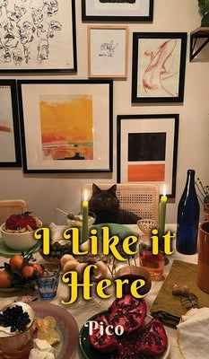 I Like it Here by Pico