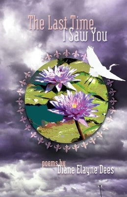 The Last Time I Saw You by Dees, Diane Elayne
