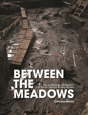 Between the Meadows: The Archaeology of Edercloon on the N4 Dromod-Roosky Bypass by Moore, Caitríona