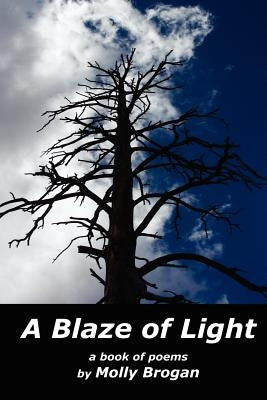 A Blaze of Light by Brogan, Molly