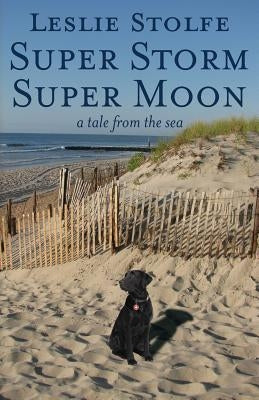 Super Storm Super Moon: A Tale from the Sea by Stolfe, Leslie