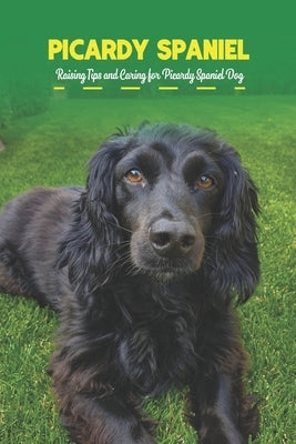 Picardy Spaniel: Raising Tips and Caring for Picardy Spaniel Dog by Mollie, Gosnell