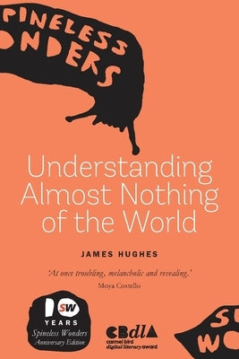 Understanding Almost Nothing Of The World by Hughes, James