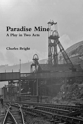 Paradise Mine by Bright, Charles