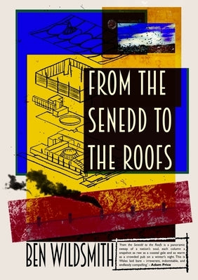 From the Senedd to the Roofs by Wildsmith, Ben
