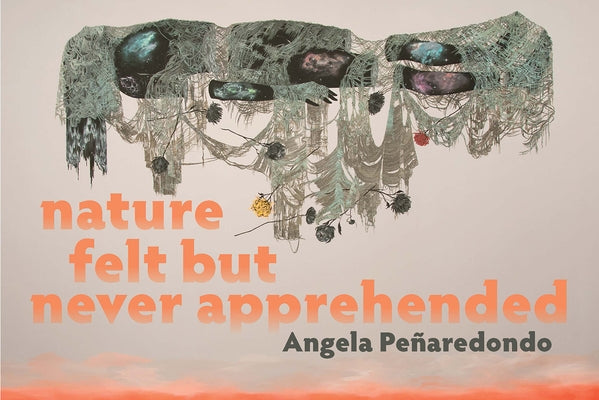 Nature Felt But Never Apprehended by Peñaredondo, Angela