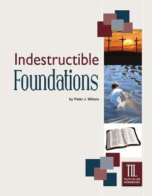Indestructible Foundations by Wilson, Peter