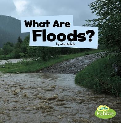 What Are Floods? by Schuh, Mari