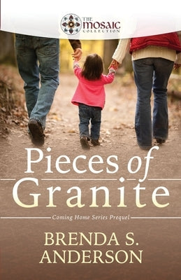 Pieces of Granite by Anderson, Brenda S.