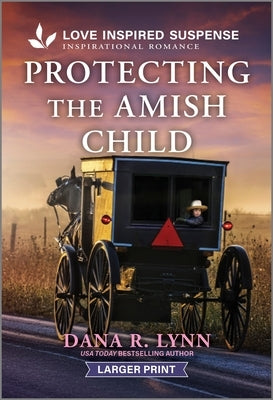 Protecting the Amish Child by Lynn, Dana R.