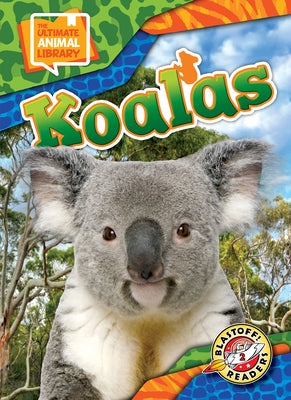Koalas by Scheffer, Janie