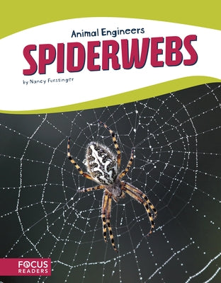 Spiderwebs by Furstinger, Nancy