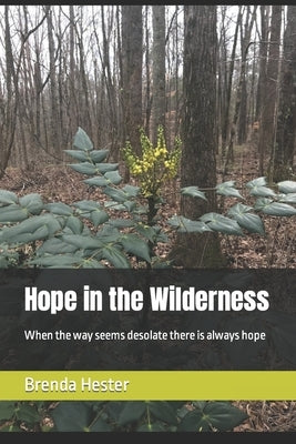 Hope in the Wilderness by Hester, Brenda J.
