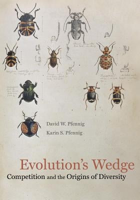 Evolution's Wedge: Competition and the Origins of Diversity Volume 12 by Pfennig, David