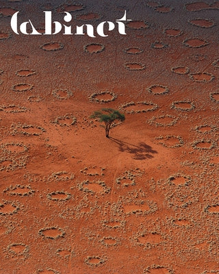 Cabinet 63: The Desert by Najafi, Sina