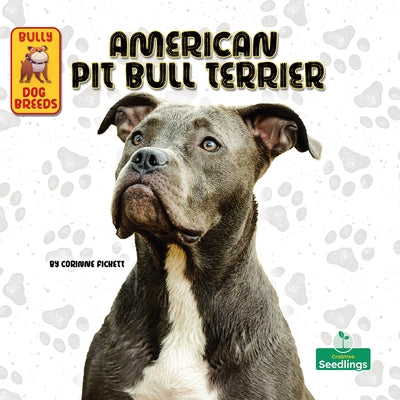 American Pit Bull Terrier by Fickett, Corinne