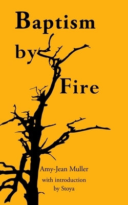 Baptism by Fire by Douglas, Craig