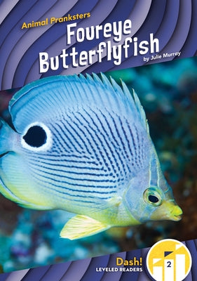 Foureye Butterflyfish by Murray, Julie