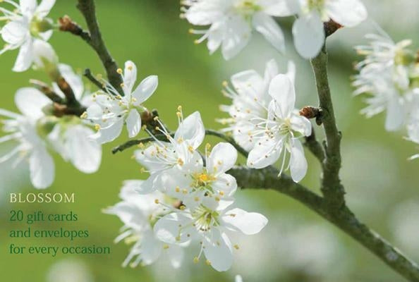 Blossom Notecards: 20 Gift Cards and Envelopes for Every Occasion [With Envelope] by Peony Press