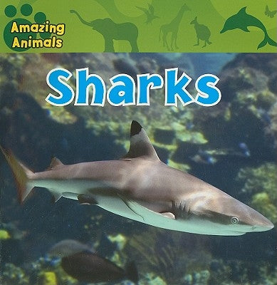 Sharks by Wilsdon, Christina