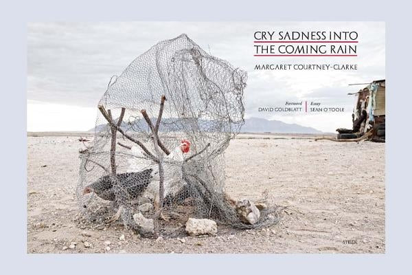 Margaret Courtney-Clarke: Cry Sadness Into the Coming Rain by Courtney-Clarke, Margaret