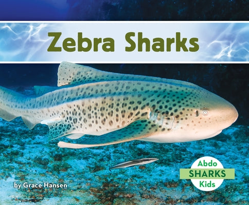 Zebra Sharks by Hansen, Grace