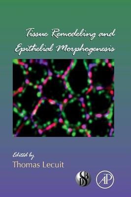 Tissue Remodeling and Epithelial Morphogenesis: Volume 89 by Lecuit, Thomas