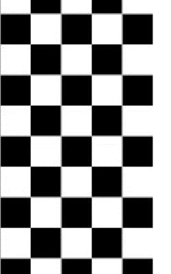 checker: Checker Drawing Journal by Huhn, Michael