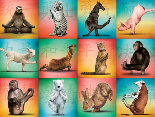 Animal Yoga 500-Piece Puzzle by Willow Creek Press