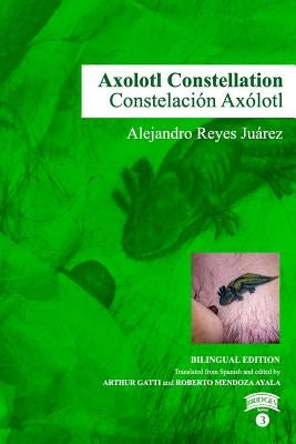 Axolotl Constellation by Carbajal Huerta, Silvia