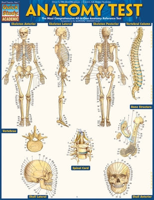 Anatomy Test Reference Guide (8.5 X 11): For Use with Anatomy Reference Guide (9781423222781) by Perez, Vincent