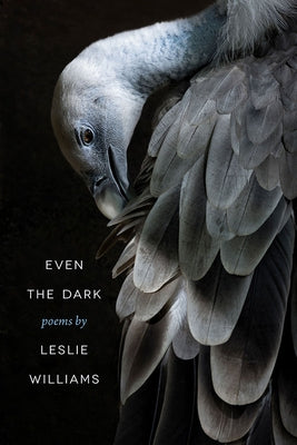 Even the Dark by Williams, Leslie