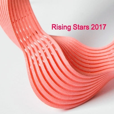 Rising Stars 2017 by New Ashgate Gallery