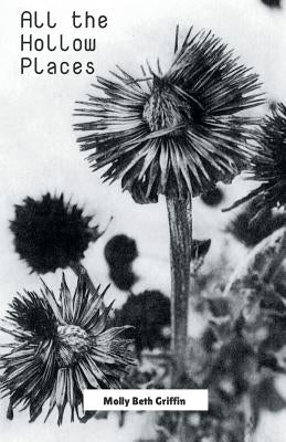 All the Hollow Places by Griffin, Molly Beth