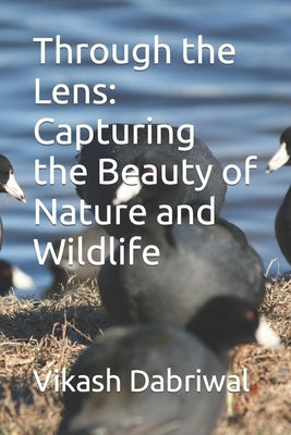 Through the Lens: Capturing the Beauty of Nature and Wildlife by Dabriwal, Vikash